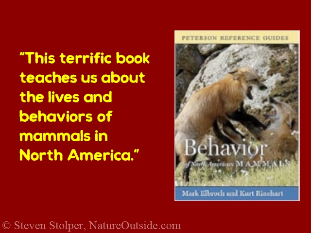 Elbroch book review quote