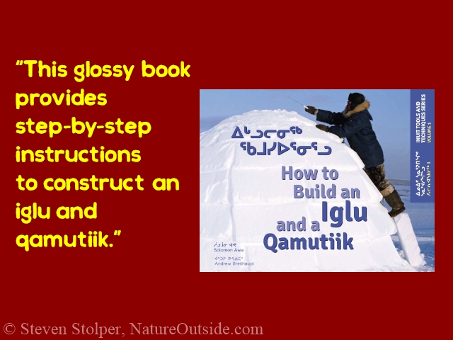 how to build iglu book review quote