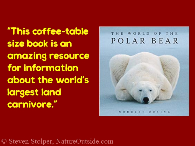world of the polar bear book review quote