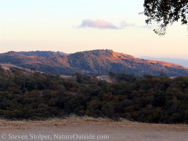 hills in Henry Coe State Park