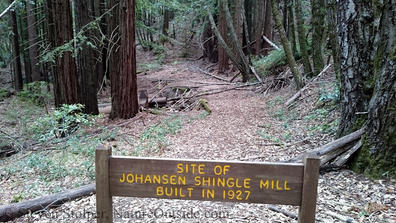 johansen mill big basin redwood state park