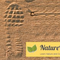 human boot print in sand