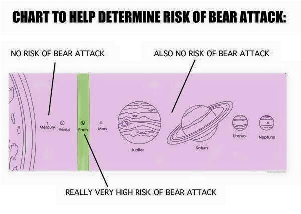 funny bear attack chart