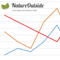 chart graphic