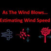 title for as wind blows