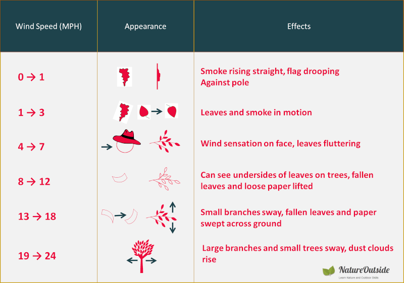 infographic how to predict wind speed