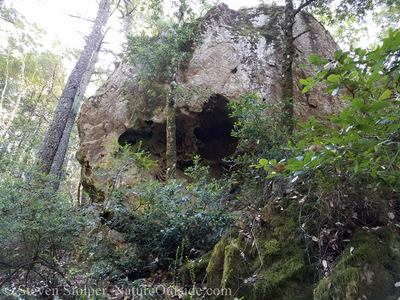 cave opening