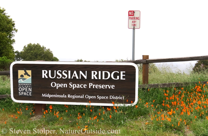 Russian Ridge Sign