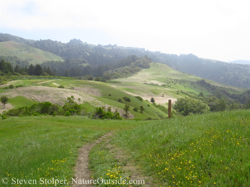 trail to Mindego Hill