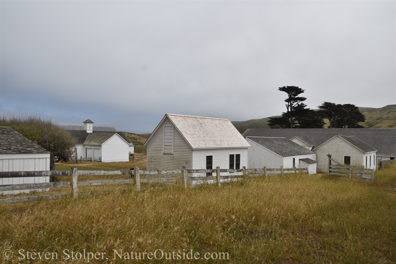 Pierce Point Ranch