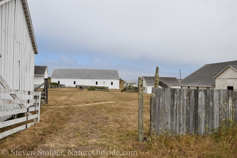 Pierce Point Ranch