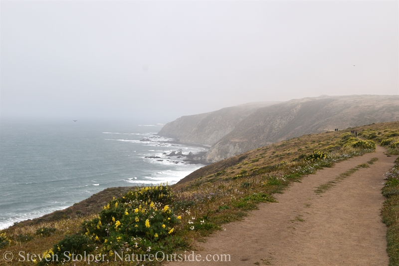 Point Reyes