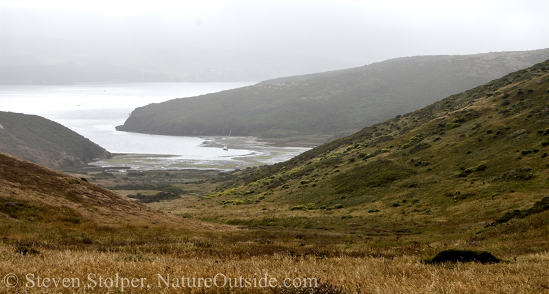 Tomales Bay