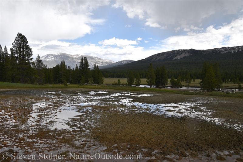 Soda Springs Yosemite