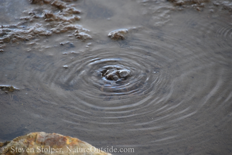 Soda Springs bubbles