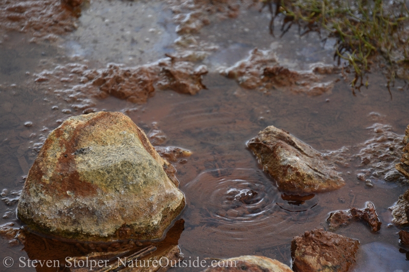 Soda Springs bubbles