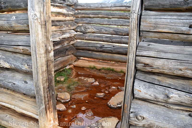 enclosure at Soda Springs