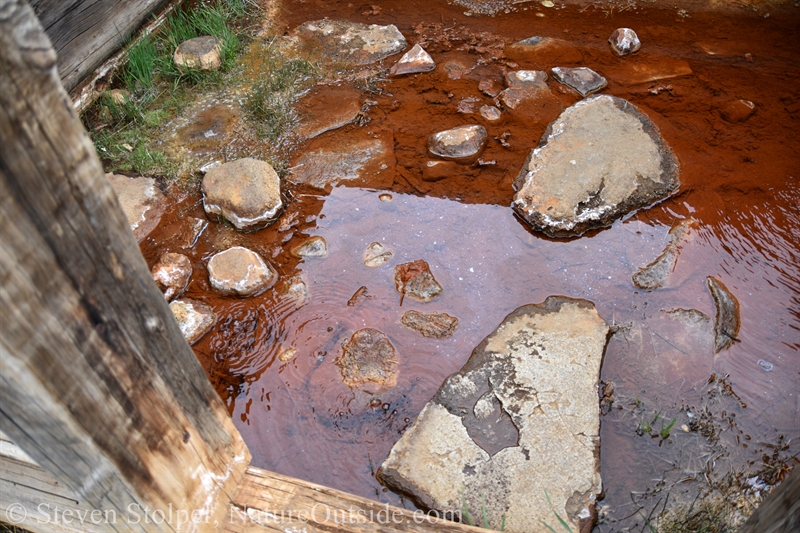 enclosure at Soda Springs