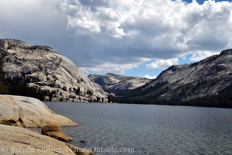 Tenaya Lake