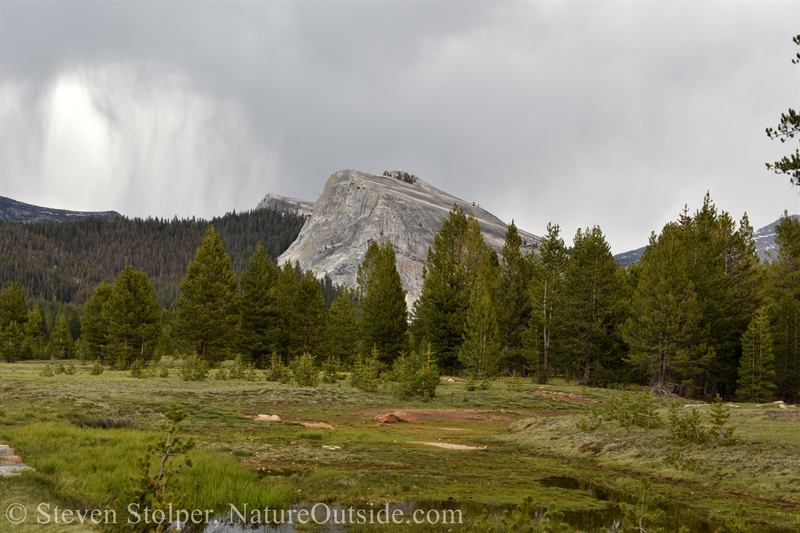  Lembert Dome and rain