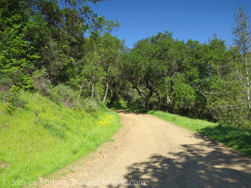 quicksilver trail