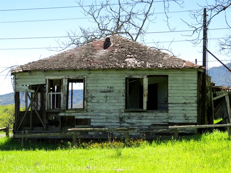 abandoned house