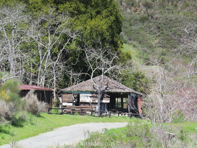 abandoned house