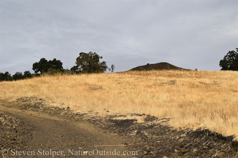 Windmill in the distance