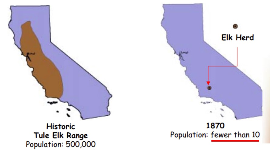 maps showing Tule Elk historic range