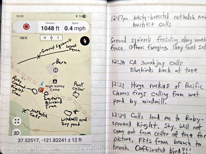 nature journal entry