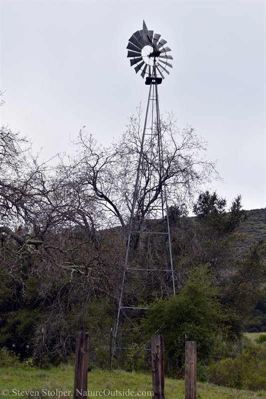 windmill