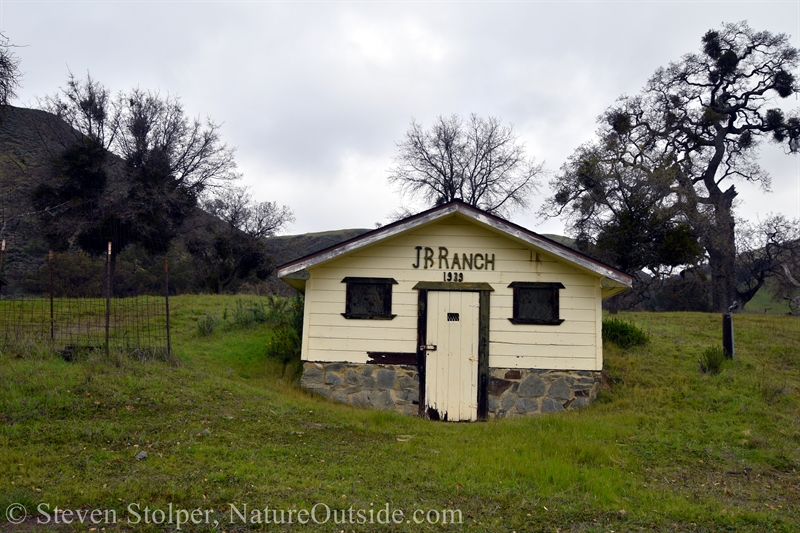 Root cellar